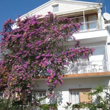 Apartman Graciela Perfect Location Gradac Gradac  Eksteriør billede