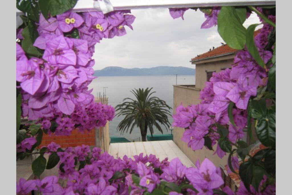 Apartman Graciela Perfect Location Gradac Gradac  Eksteriør billede