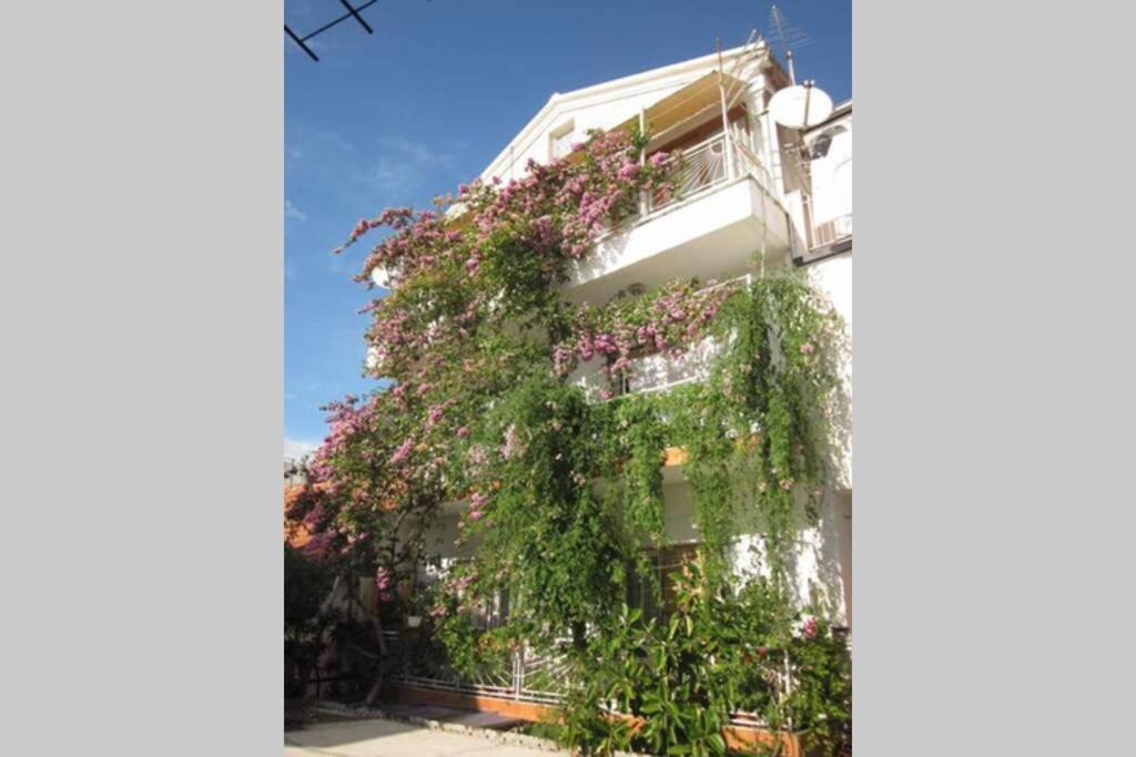 Apartman Graciela Perfect Location Gradac Gradac  Eksteriør billede