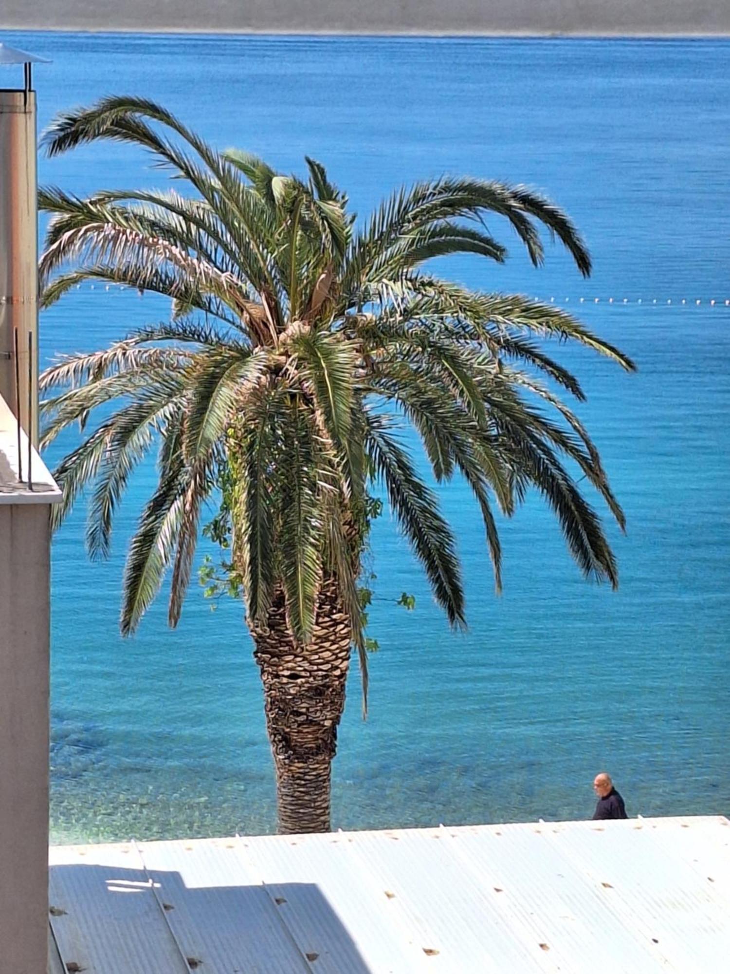 Apartman Graciela Perfect Location Gradac Gradac  Eksteriør billede